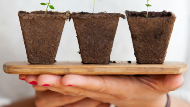 Strategies for Growth Initiatives